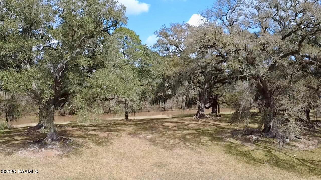 20260221032007508052000000.jpg