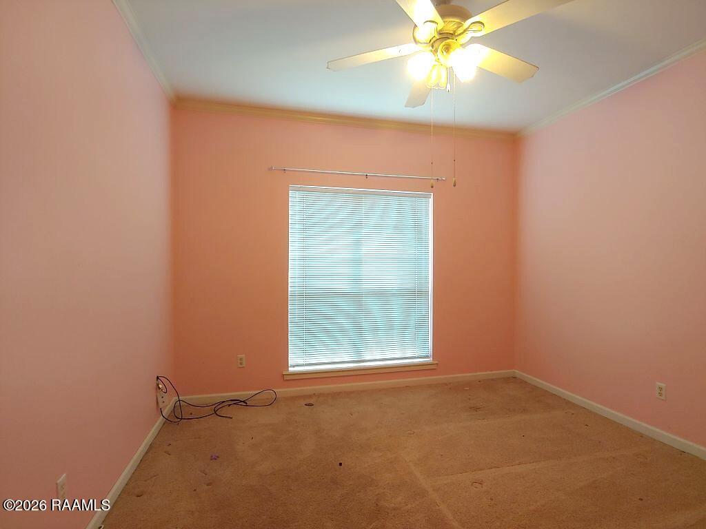 20260530180831220057000000.jpg