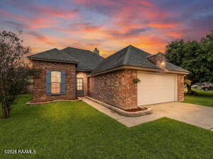 101 Sandhill Crane, Lafayette LA
