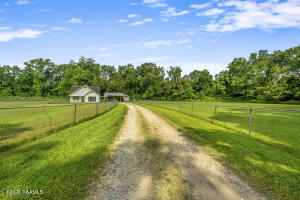 273 Muscadine, Sunset LA